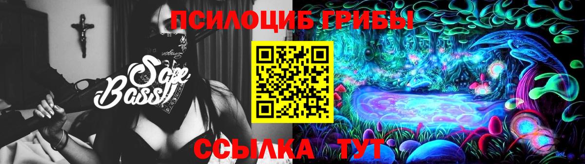 Галлюциногенные грибы мицелий Курчатов