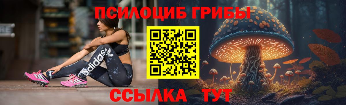 Галлюциногенные грибы Psilocybe  Вход с VPN  Галлюциногенные грибы GOLDEN TEACHER  Курчатов 
